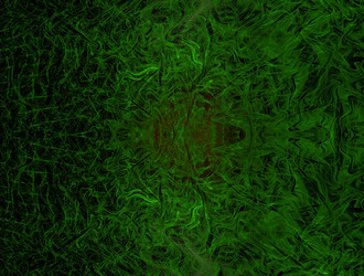 Similar image 21624641