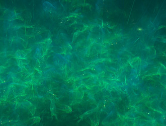 Similar image 21624643