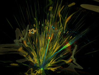 Similar image 21626174