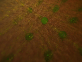 Similar image 21618599