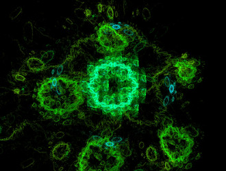 Similar image 21625356