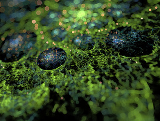 Similar image 21619042