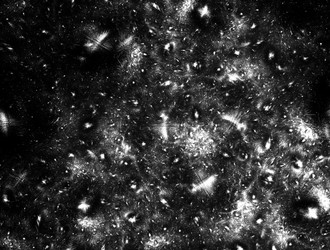 Similar image 21620867