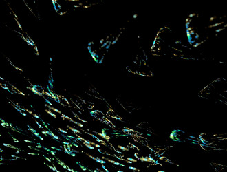 Similar image 21616737