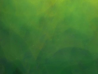 Similar image 21618221