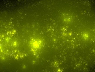 Similar image 21617133