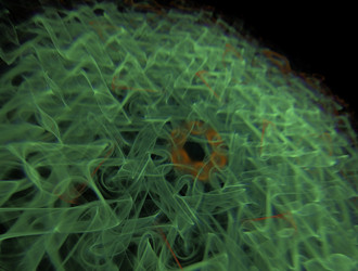 Similar image 21619055