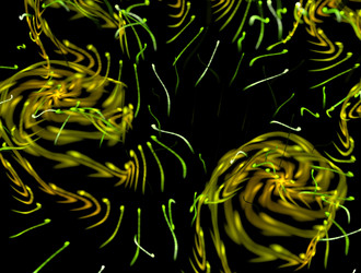 Similar image 21620620