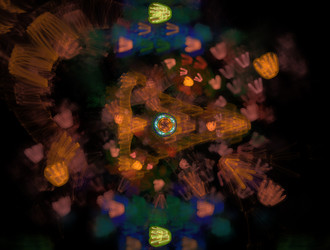 Similar image 21619400