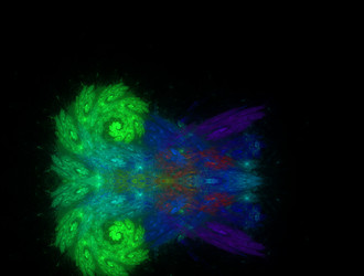 Similar image 21619924