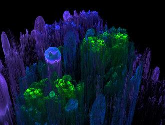 Similar image 21615630