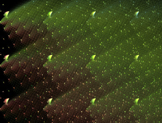 Similar image 21616298