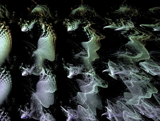 Similar image 21619077