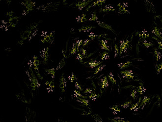 Similar image 21619406