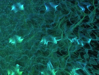 Similar image 21624406