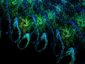 Similar image 21610579