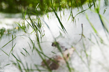 Similar image 21557496