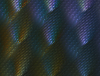 Similar image 21613833