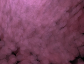 Similar image 21616754