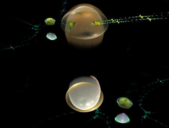 Similar image 21623001