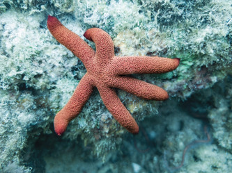 Similar image 21560176