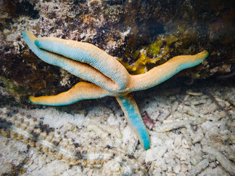 Similar image 21560177