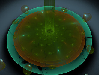 Similar image 21619951