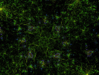 Similar image 21623012