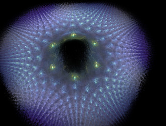 Similar image 21619095