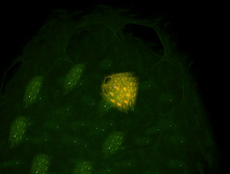 Similar image 21619956