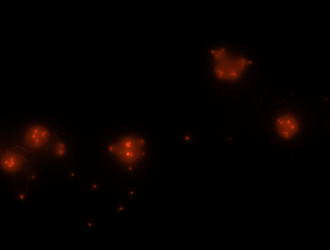 Similar image 21623290