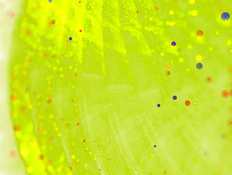 Similar image 21612215