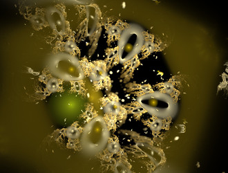 Similar image 21619418