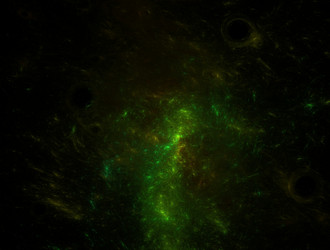 Similar image 21612227