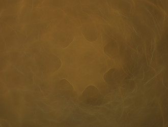 Similar image 21617146