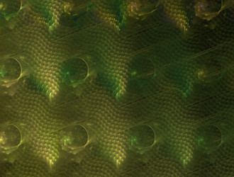 Similar image 21624901