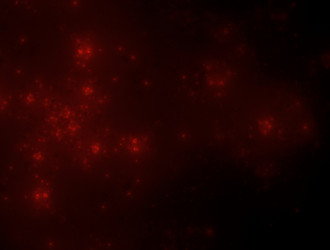 Similar image 21625658