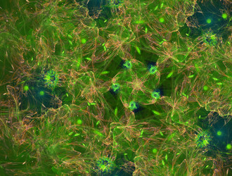 Similar image 21617833