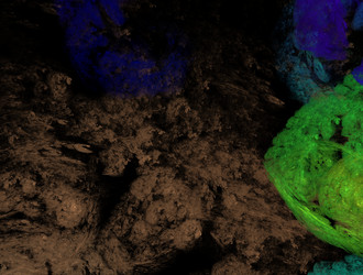 Similar image 21613851