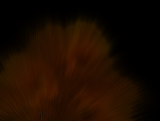 Similar image 21624906