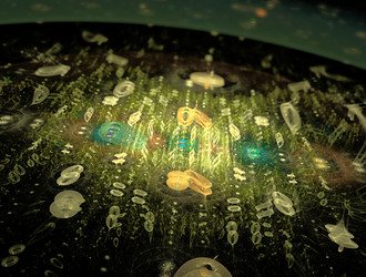 Similar image 21615686