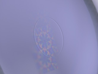 Similar image 21620651