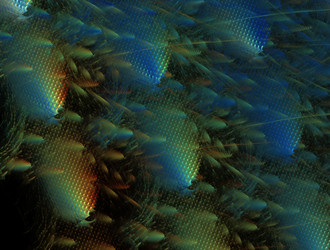 Similar image 21617563