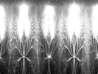 Similar image 21617837