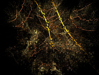 Similar image 21618636