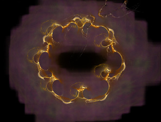 Similar image 21624174