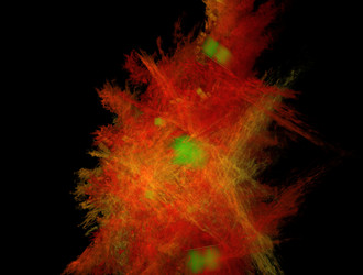 Similar image 21622101