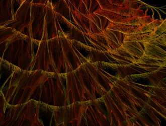 Similar image 21610649