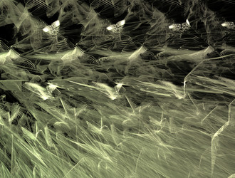 Similar image 21626193