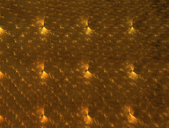 Similar image 21624916